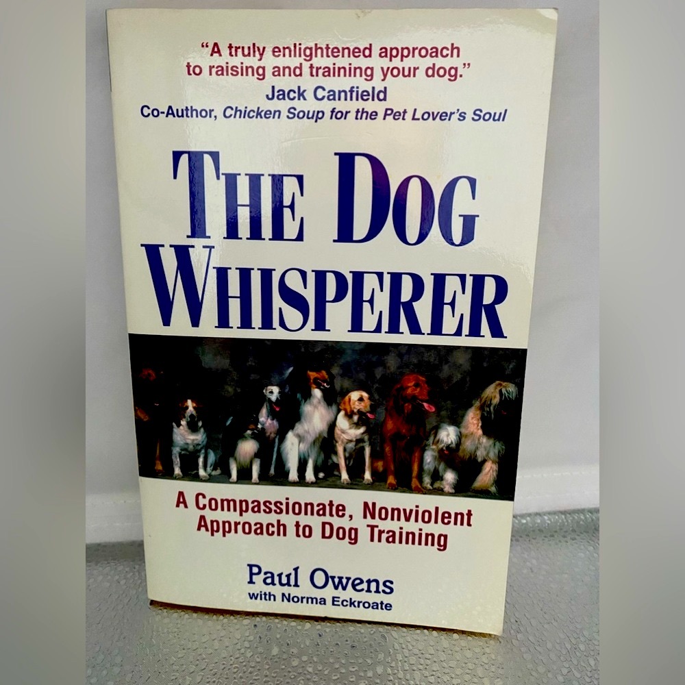 The “Dog Whisperer” Book - Amazing Concepts & Advice